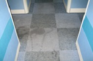 ݱݱ˾ݺñ˾݌(zhun)I(y)˾  W(wng)ַhttp://www.5zxs.com/